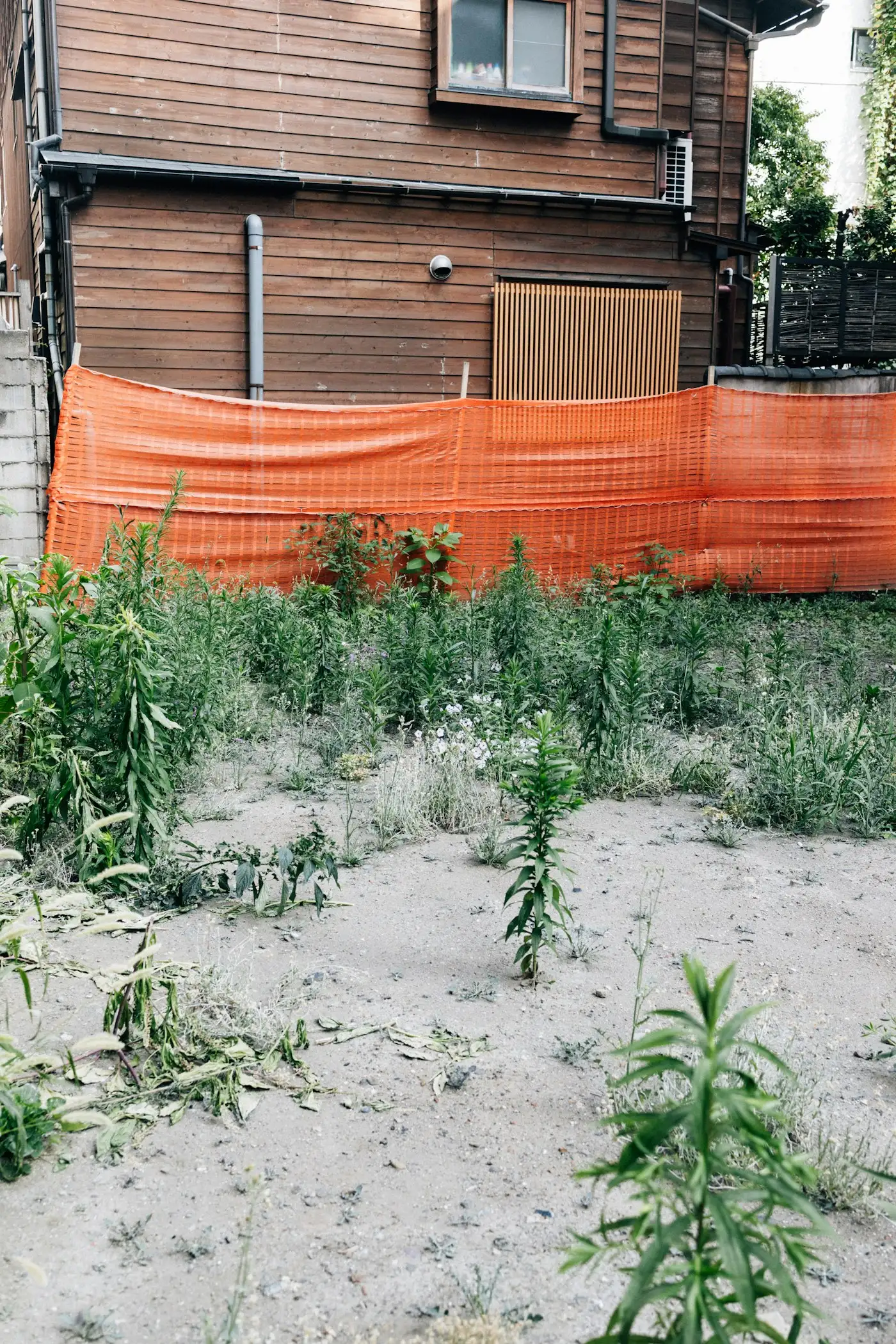 住宅の裏手の空き地に雑草が伸び、オレンジ色の防護ネットが張られている様子