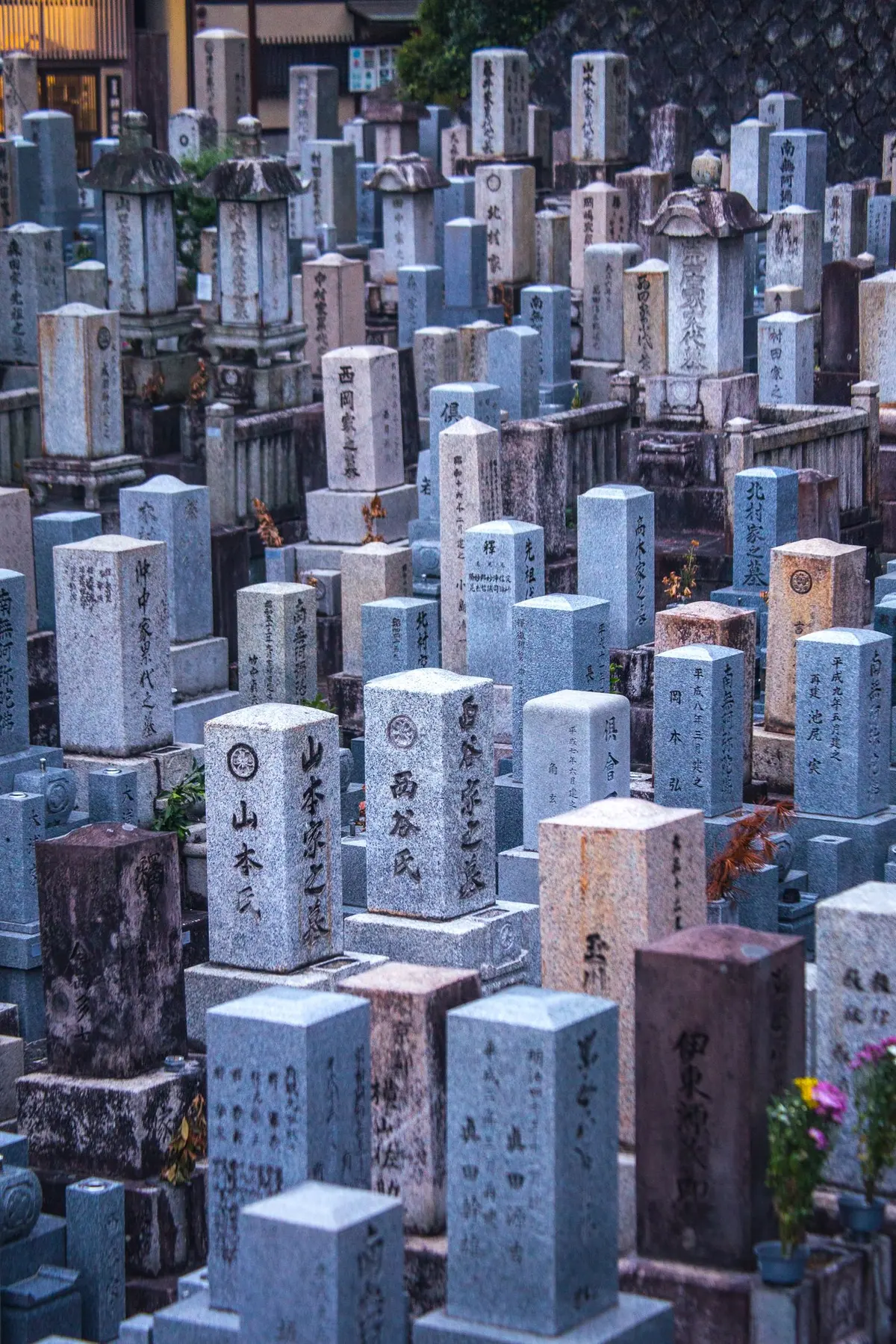石垣に囲まれた墓地に、家名や文字の刻まれた角柱型の石塔が密集して並んでいる