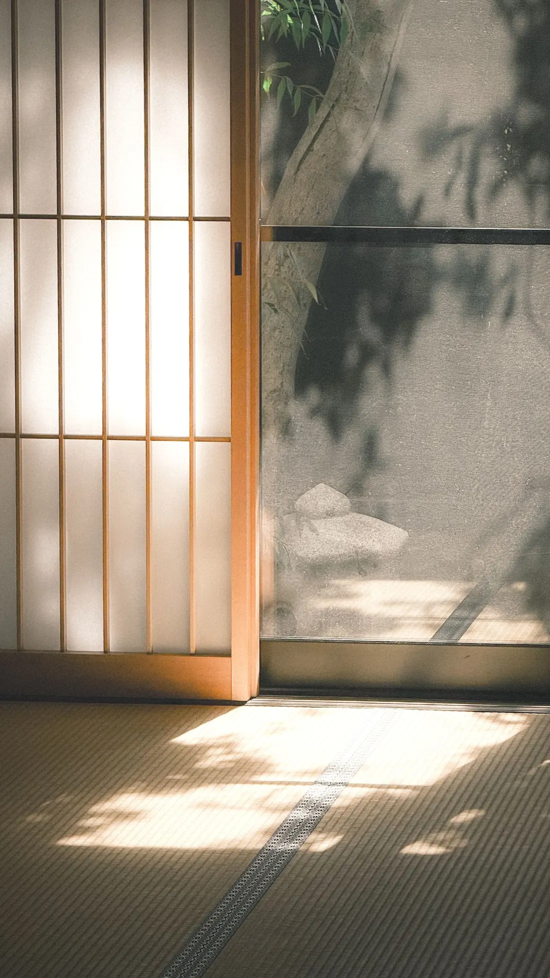 障子越しに日差しが入る畳の部屋。縁側の向こうに庭木と石が見える