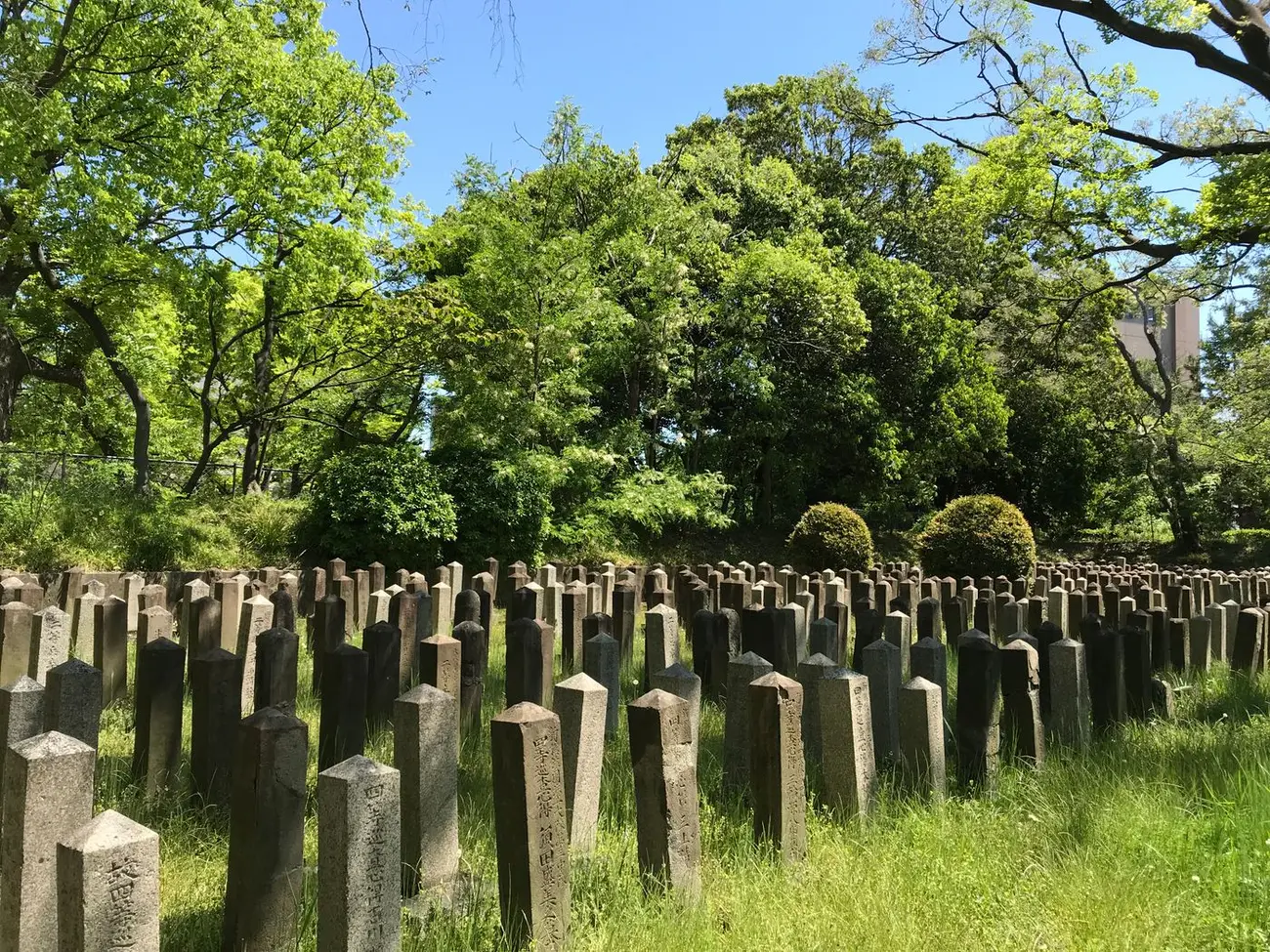 草の伸びた地面に、文字の刻まれた細長い石塔が数え切れないほど並ぶ日本の墓地