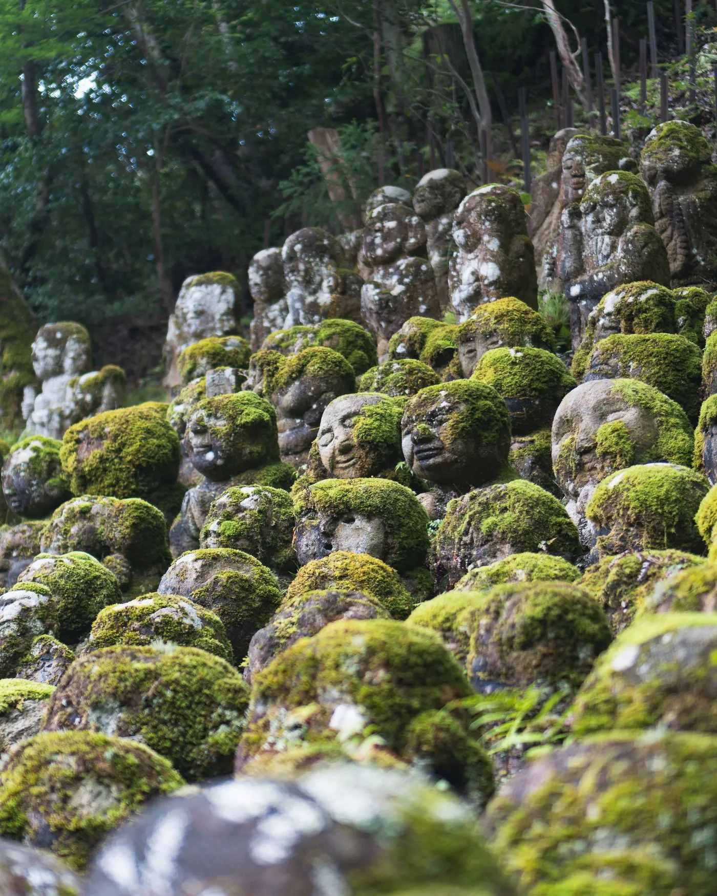 苔に覆われて表情がぼやけた石仏が、斜面にびっしりと並んでいる
