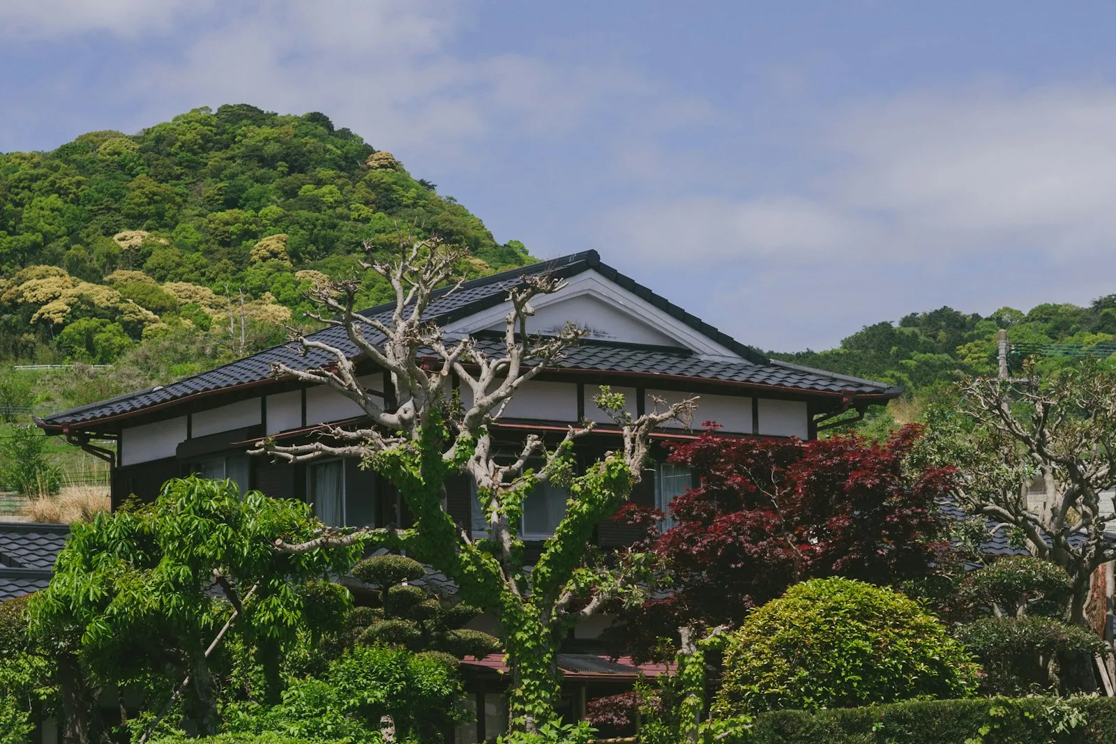 緑の木々に囲まれた瓦屋根の日本の木造家屋